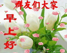 今天4.29,清晨第一声问候,送给正在看微信的你愿你幸福快乐