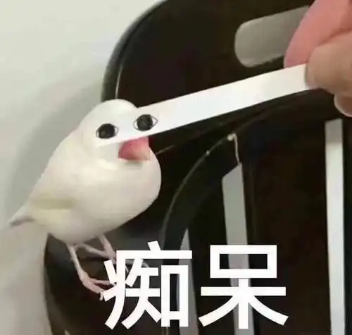  要迎来第二只大型犬怎么让它们和睦相处
