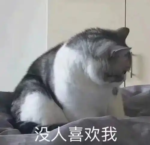  表情包丨沙雕表情包动图4.11期