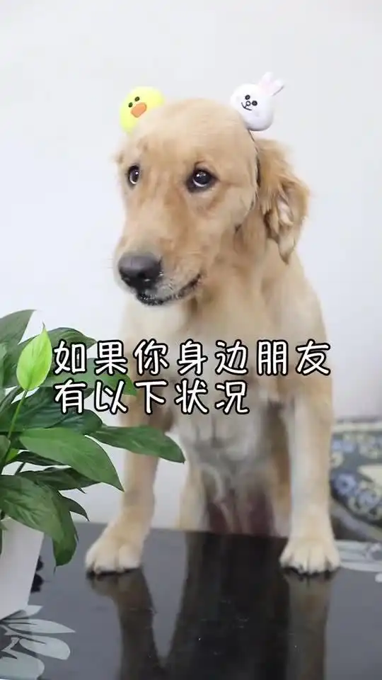  瞎说什么大实话扎心了扎的透透的那种