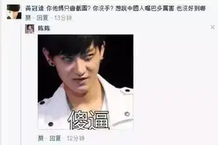 我要买这个表情包黄子韬