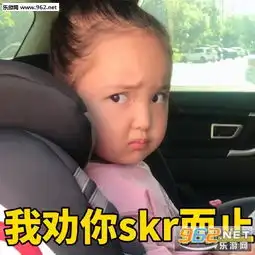  我劝你skr而止热skr人表情图片下载乐游网游戏下载
