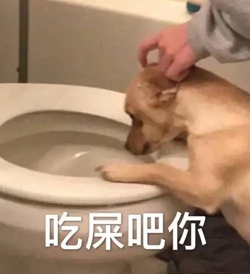  家里静悄悄,必定在作妖