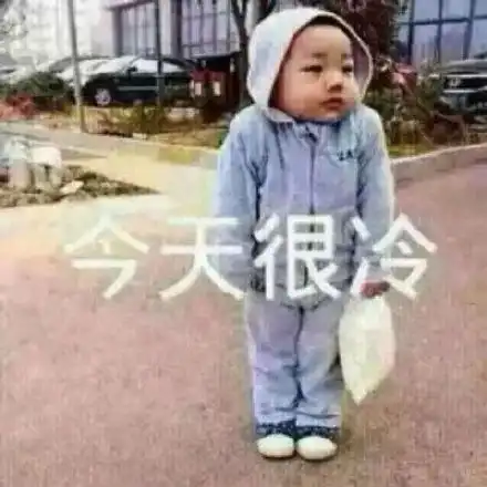  表情包冷天儿也太冷了我应该呆在家里
