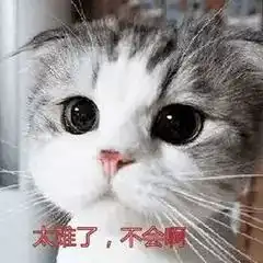  小学生画的旅游线路图,成年人表示自愧不如
