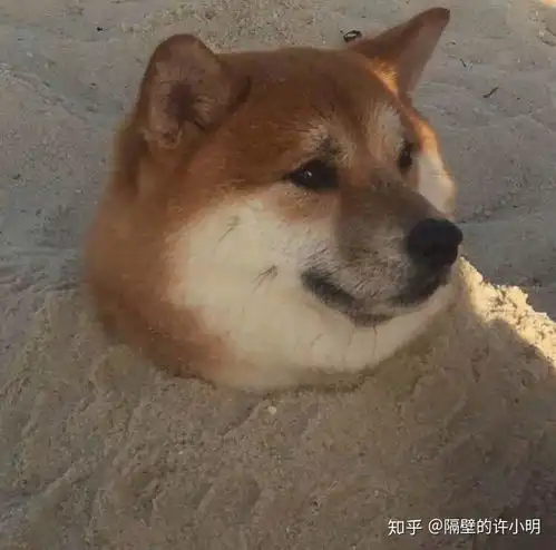  为什么你找不到合适的免费ppt模板,套路太多,还是好货太少