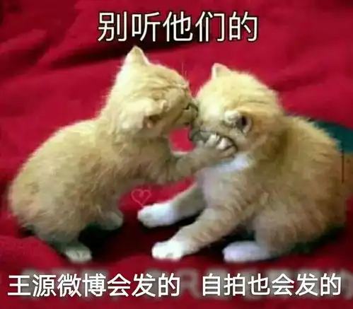  王源做事总是口是心非,惹得粉丝又爱又恨搜狐娱乐搜狐网