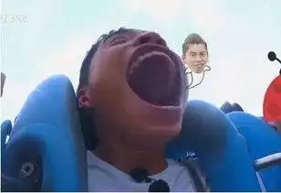  王大陆带坏彭昱畅,魏大勋强势抢镜,王思聪的表情包躺着也中枪