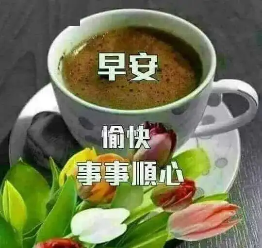  中老年表情包我的问候早早陪伴你,愿你有美好的一天