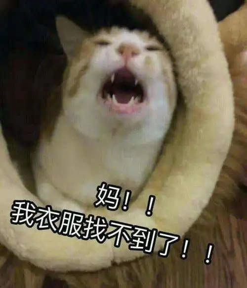  我对妈妈有多依赖,这张图说明了一切