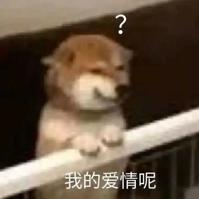  沙雕又可爱的朋友圈文案