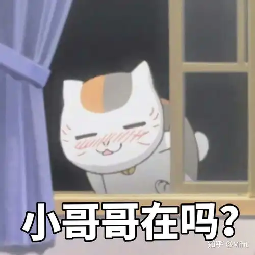 没得问题图片表情包