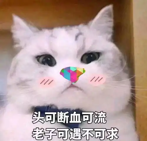  在家闲的无聊怎么找实习和工作