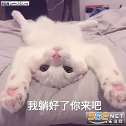  我亲爱的走狗表情包图片别碰我天线表情包下载乐游网游戏下载