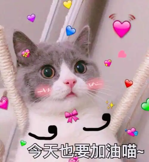  e句话看天下丨古天乐活动当场被道德绑架,伸手党凭什么这么理直气壮