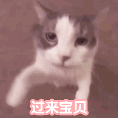  mystic帽子戴好,前妻在粉丝社团举办炸裂活动