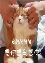  乐游网单机游戏