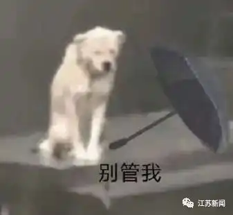  就在明天2时19分它要来了