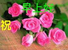  4月早上哈祝福语动图表情图片最暖心的早安祝福语