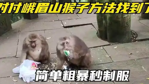  对付峨眉山猴子方法找到了简单粗暴秒制服,为什么不建议实施