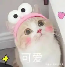  台湾最发达城市台北市,放在大陆算几线城市网友很真实
