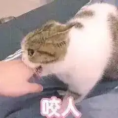  可爱小表情适合发给喜欢的人