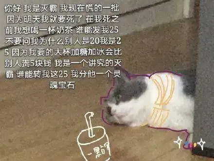  猫咪表情包大全,有你家的吗