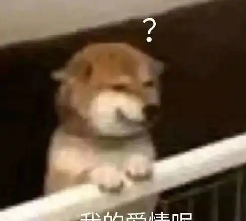  每日一笑我找了十年都找不到,小偷这么一会儿工夫就能找到吗