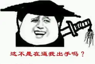  高压严打阜阳重拳出击整顿违法违规出租车