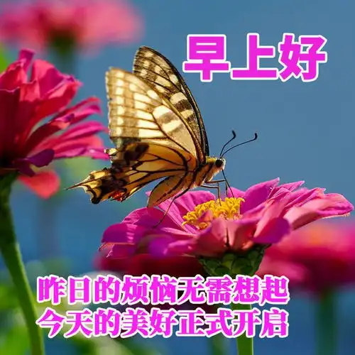  30张最新版早上好表情图片大全,幸福快乐,真情牵挂,珍惜永久早安思念大海钟声网易订阅