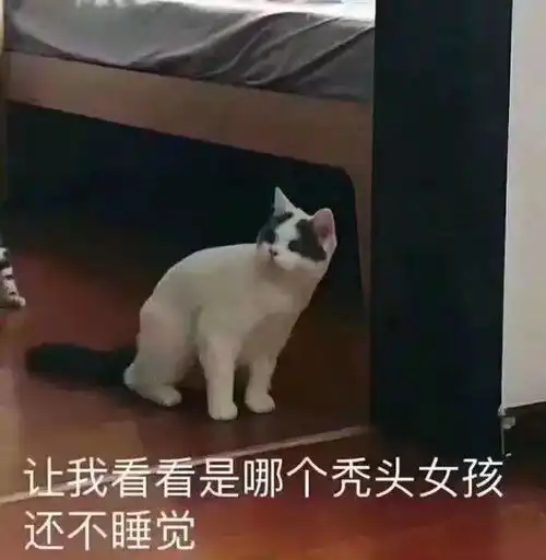  你的头发还好吗