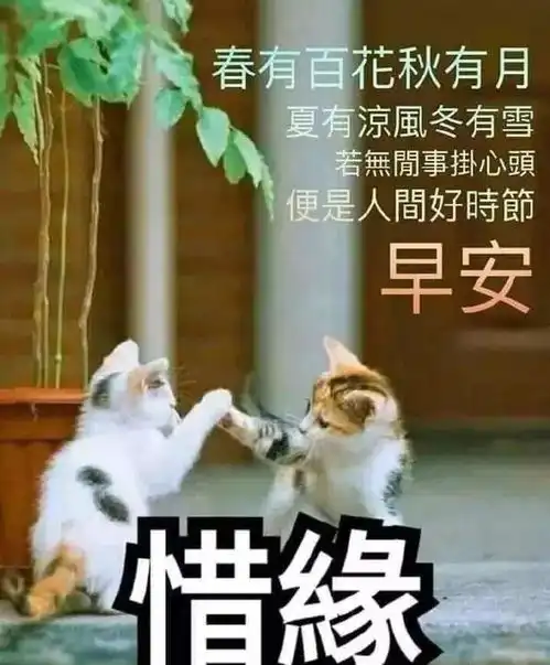  早上问候表情包大全初春最美早安问候图片带字