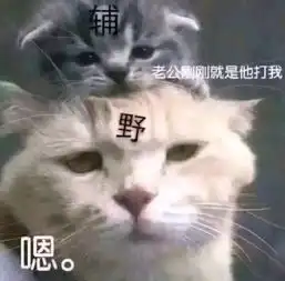  每日一冷no.2253