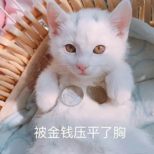  微信里捏胸那个表情包