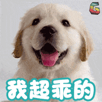  哄老婆微信表情包老婆,这个月的家用都给你,听老婆话才幸福