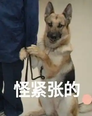  虽然不是通过进出组的技能展示进来的,不过还是分...