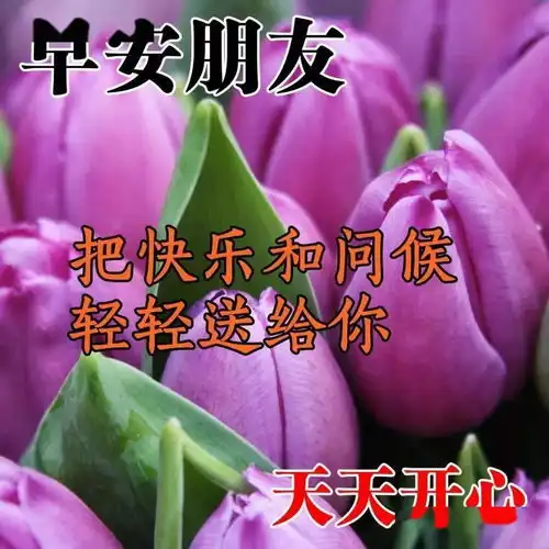  最美的早上好祝福语短信早上好问候早安的句子图片动态表情