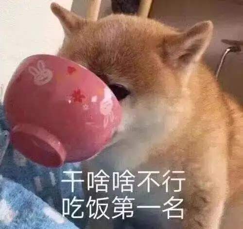  第345天,我还在坚持,一切都还好