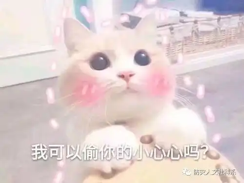  关于巧克力的那些事二