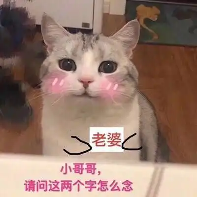  撩妹教科书,宣威小哥哥赶紧get起来