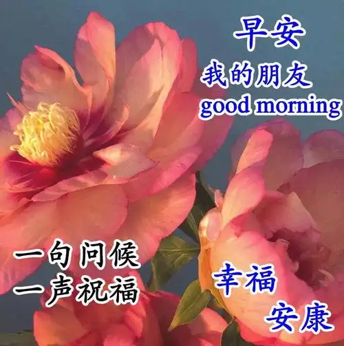 春节祝福语表情包早安