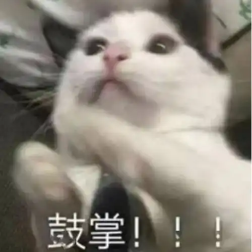  关于我为家乡茶代言投票活动
