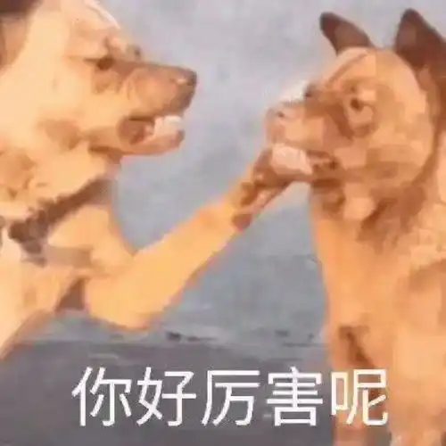  表情包沙雕表情包第三百九十期
