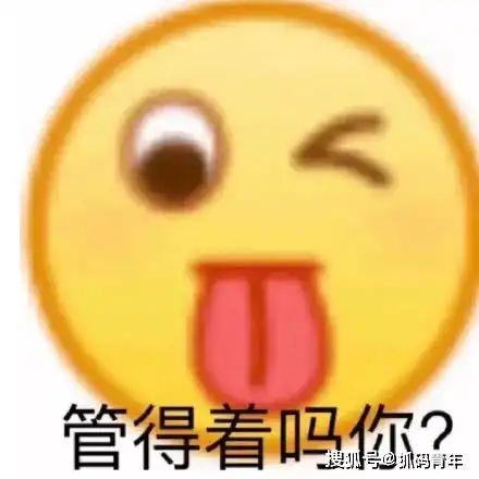  周鸿祎称自己比马化腾还会写代码,大佬里编程能力排前三,你怎么看