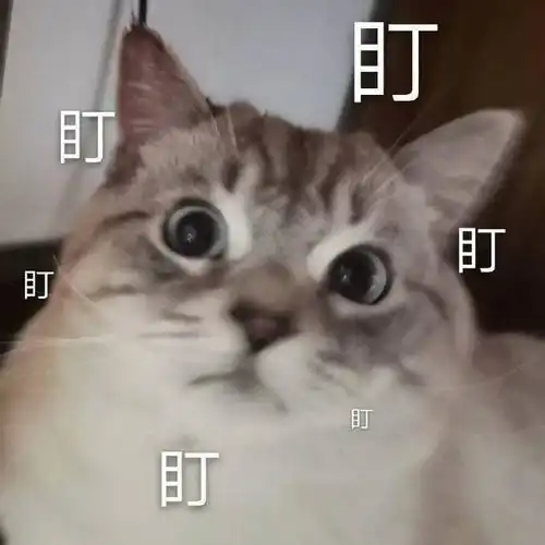  表情包老子给你一铲子拿图点赞吱声