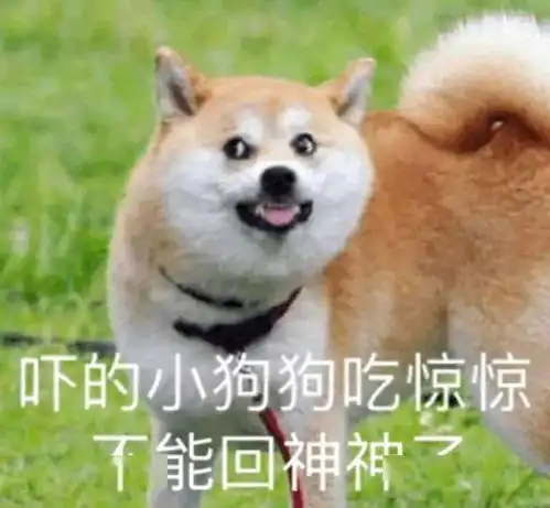  5月1日起,这种行为将违法义乌很多人正在做
