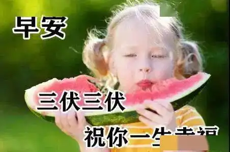  6张非常有创意的夏季早安问候图片带字带西瓜,漂亮的早上好表情祝福图片句子