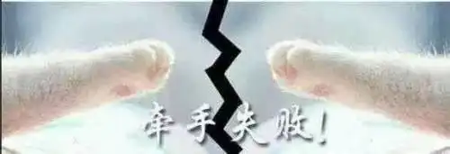  求猫咪牵手表情包的