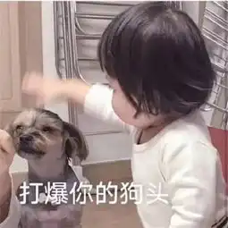  生气表情包可爱小女孩版哼,我生气了,哄不好的那种