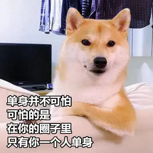  车速太快,请单身狗前排系好安全带观看